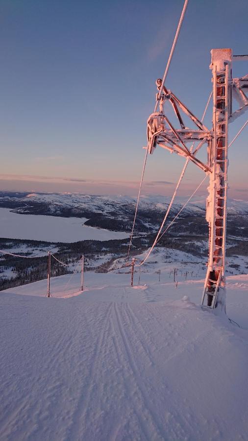 Blasjoens Stugby Stora Blasjon ภายนอก รูปภาพ